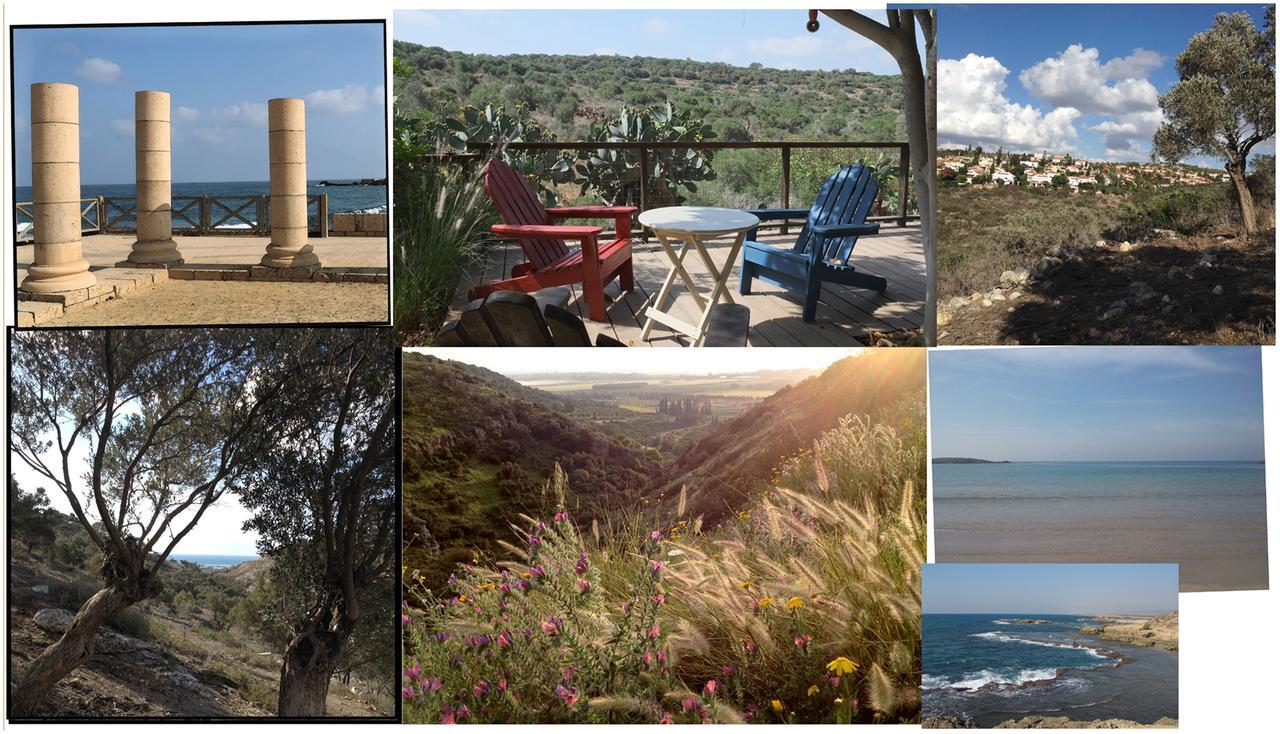 Natural Reserve Apartment Zikhron Ya'akov Esterno foto